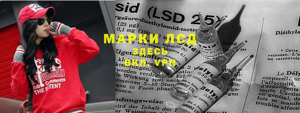 прущие грибы Новокубанск