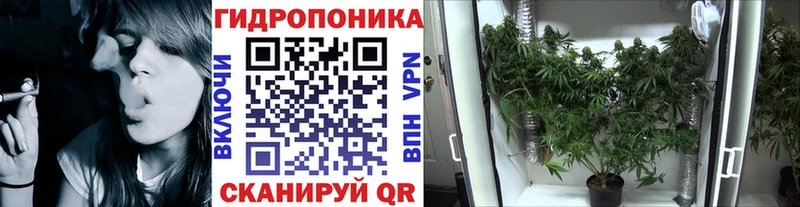 Каннабис сатива  Алексеевка 